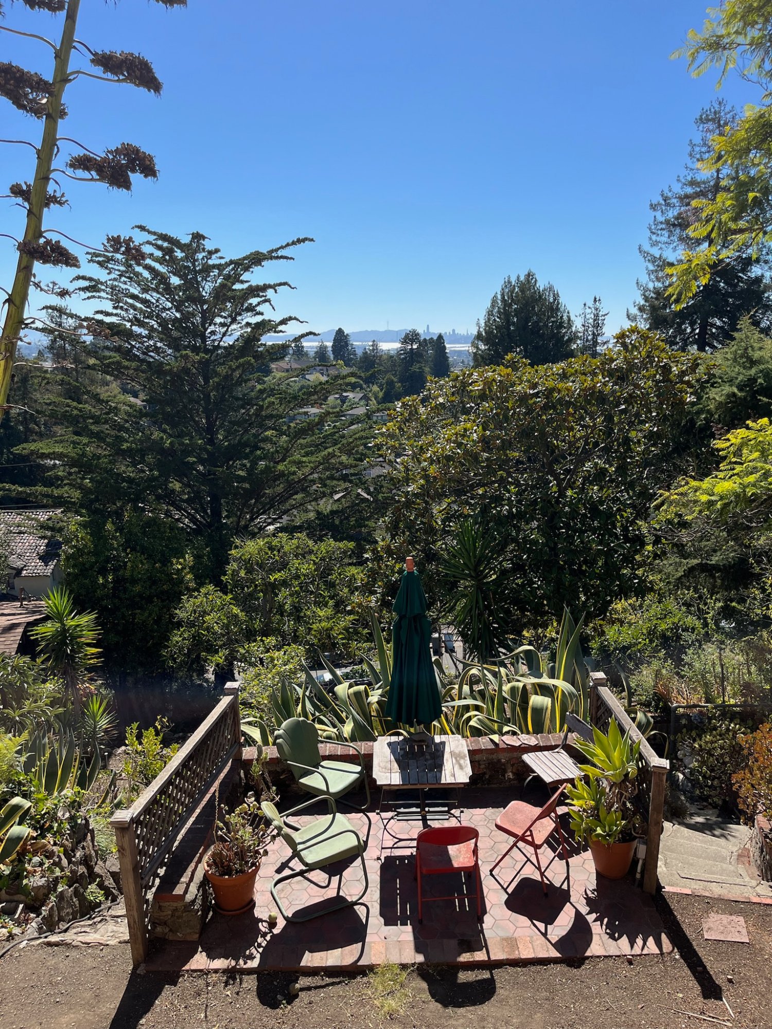 Bay and San Francisco views from the garden terrace