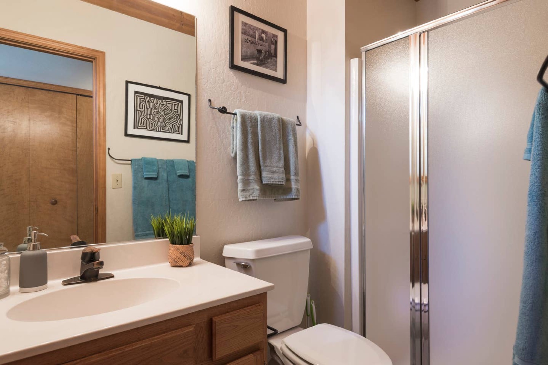 Second bathroom with walk-in shower